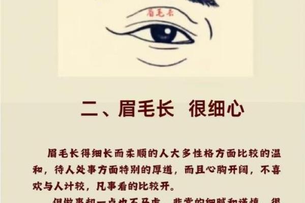 八字眉眉尾下垂的男人面相解析 八字眉眉尾下垂的男人面相解析