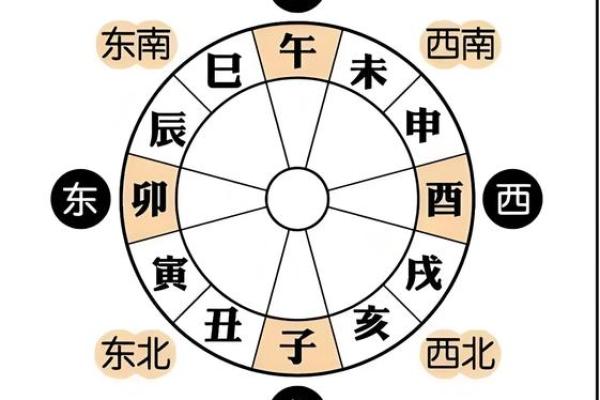 八字午多
