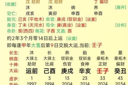 八字申子辰见酉