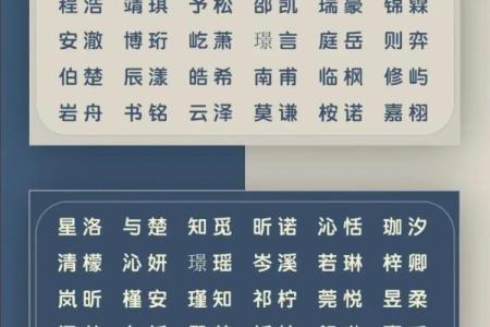 2019年4月26号卯时出生的男孩起名方法姓名