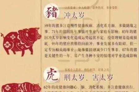 生辰八字相生相克表,怎样查八字相冲相克