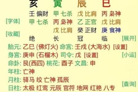 乙亥日八字