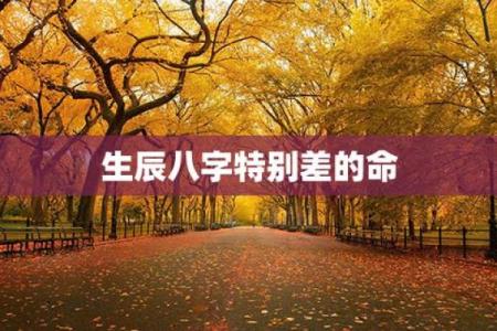 八字不好就真的命差