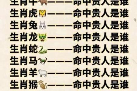属鼠和属虎的八字合不合得来,属虎的跟属鼠的合财吗