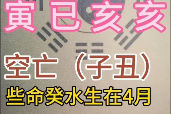 癸水日元八字最贵格局