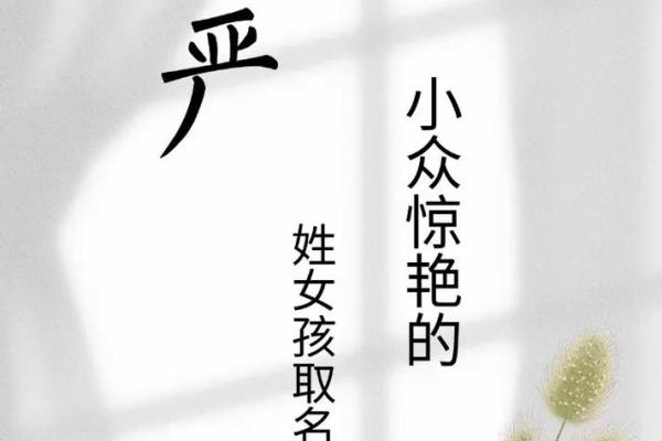 严姓男孩名字大全-严姓男孩起名字大全-严姓名字大全姓名