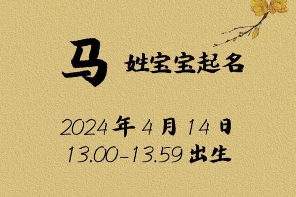 早上出生的属马男孩起名宜用什么字姓名