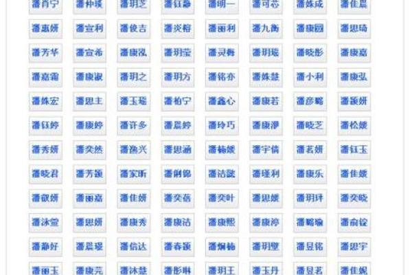 晚上1点出生的属鼠男孩取名大全姓名