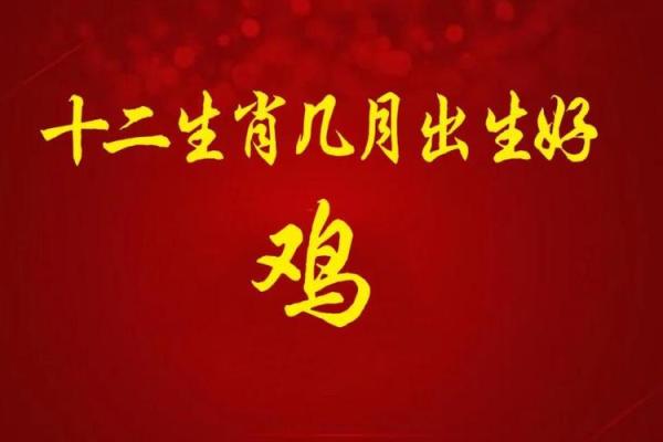2月份出生的属鸡男孩起什么名字好姓名