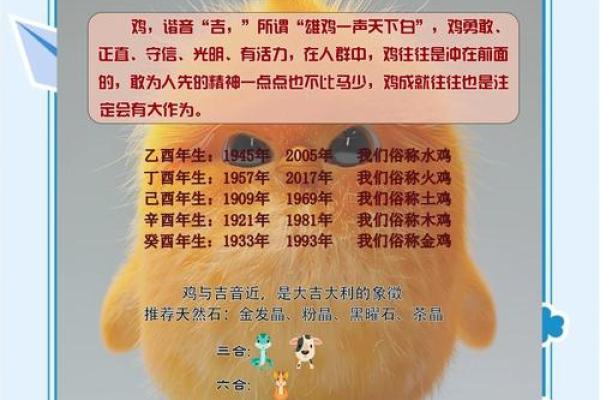 8月份出生的属鸡男孩起什么名字好姓名