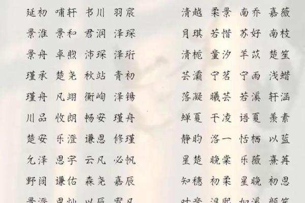 2019年3月24号巳时出生的男孩起名时要注意什么姓名
