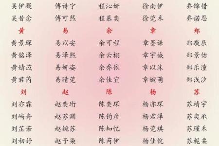 2019年4月13号寅时出生的男孩应该起什么样的名字姓名
