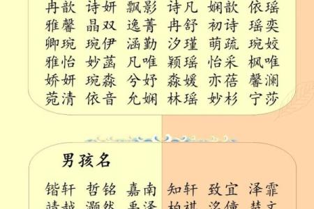 属鸡辰时出生的男孩如何起名，宜用什么字姓名