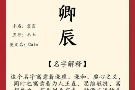 卜姓女孩名字大全-卜姓女孩起名字大全-卜姓名字大全姓名