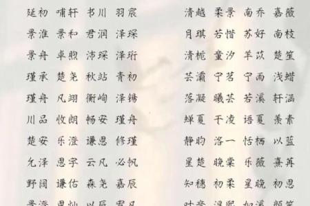 2019年3月24号巳时出生的男孩起名时要注意什么姓名