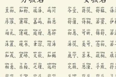 计姓男孩名字大全-计姓男孩起名字大全-计姓名字大全姓名