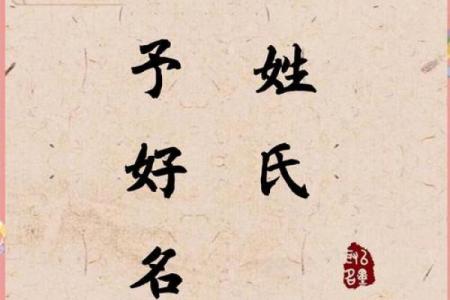 柳姓女孩名字大全-柳姓女孩起名字大全-柳姓名字大全姓名