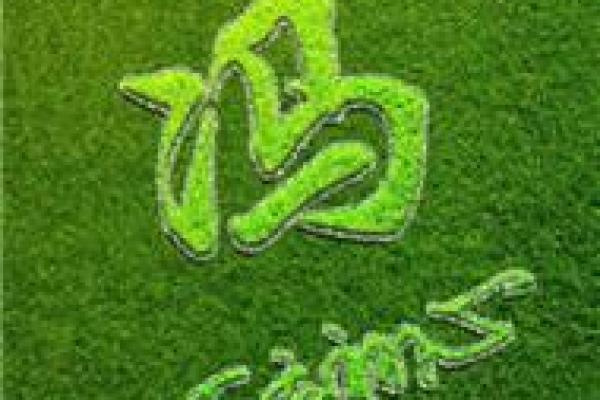 2019年出生的姓冯男孩如何起名，宜用什么字姓名