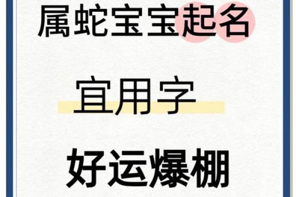 凌晨2点出生的属蛇男孩如何起名合适姓名