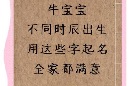 什么名字适合上午出生的属牛男孩姓名