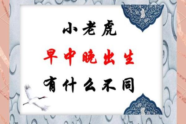 中午出生的属虎男孩如何起名，适合什么字姓名