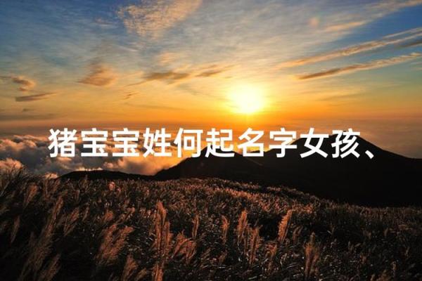 猪宝宝女孩起名大全推荐姓名