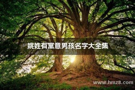 姚姓男孩名字大全-姚姓男孩起名字大全-姚姓名字大全姓名