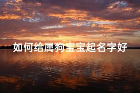 八月份出生的属狗男孩应该如何取名字姓名