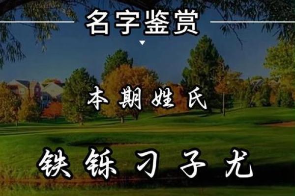 刁姓女孩名字大全-刁姓女孩起名字大全-刁姓名字大全姓名