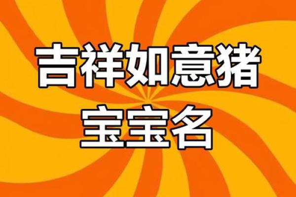 1月份出生的属猪男孩起什么名字好姓名