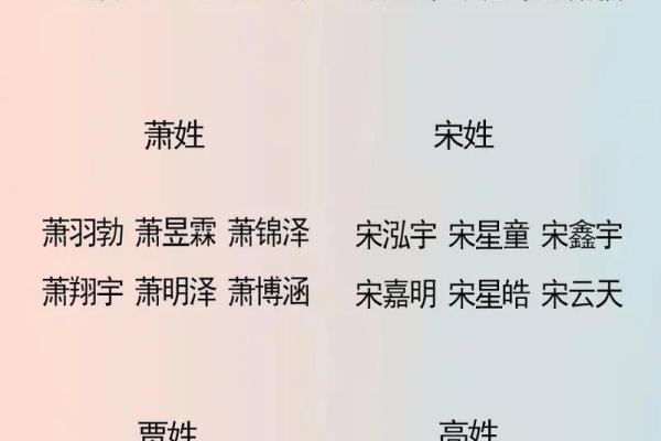 属鸡辛时出生的男孩如何起名，适合用什么字姓名