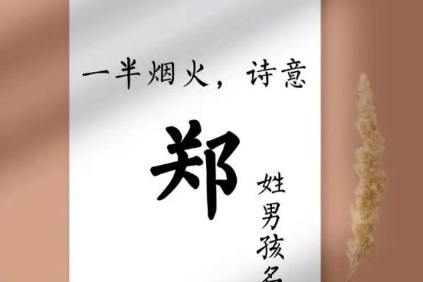 姓郑的名人-名人大全-姓名学-华易算命网姓名