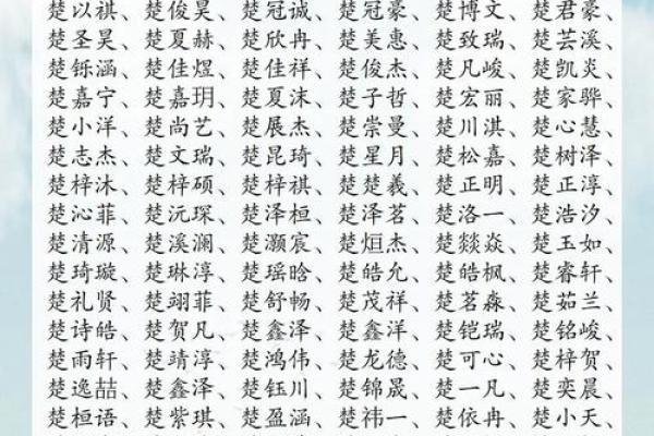 2019年6月25号丑时出生的男孩起名方法姓名