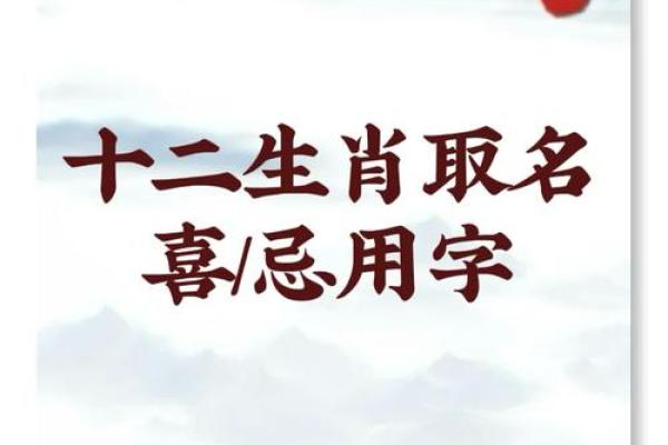 属兔辰时出生的男孩最好用什么字取名姓名