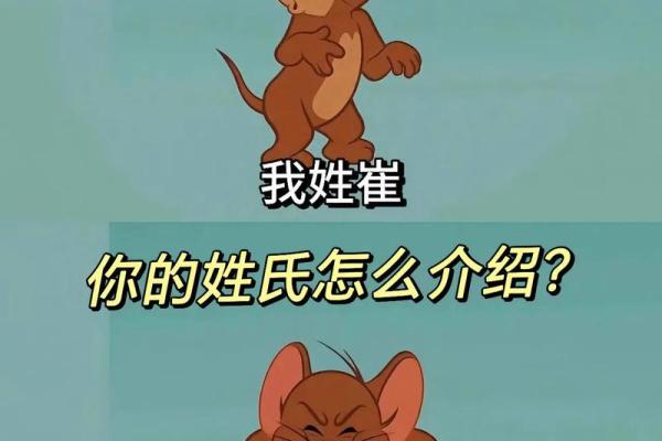 崔姓女孩名字大全-崔姓女孩起名字大全-崔姓名字大全姓名