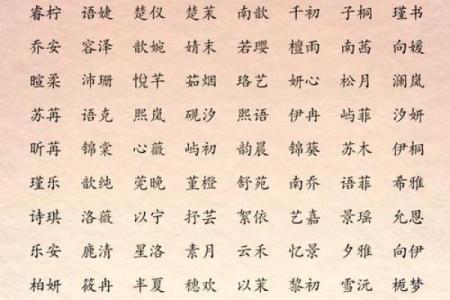 和姓女孩名字大全-和姓女孩起名字大全-和姓名字大全姓名