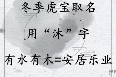凌晨五点出生的属虎男孩如何起名，应用什么字。姓名