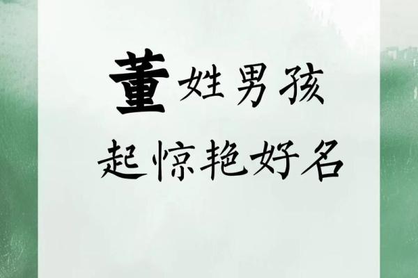董姓女孩名字大全-董姓女孩起名字大全-董姓名字大全姓名