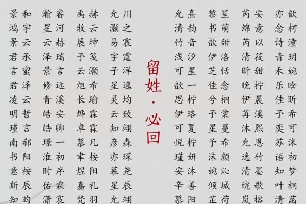 2019年4月19号寅时出生的男孩如何起名姓名