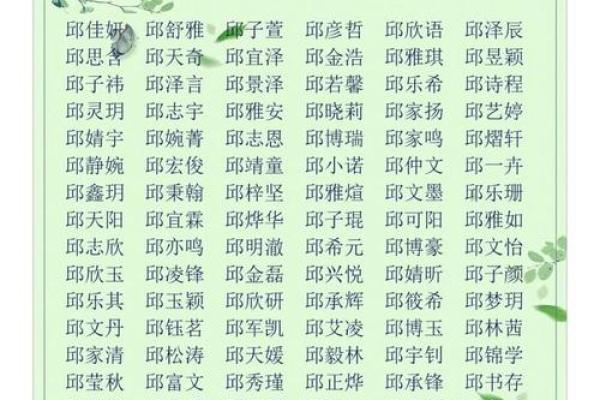 2019年4月9号辰时出生的男孩起名时要注意什么姓名