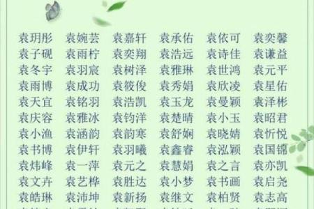 2019年3月22号辰时出生的男孩应该起什么样的名字姓名