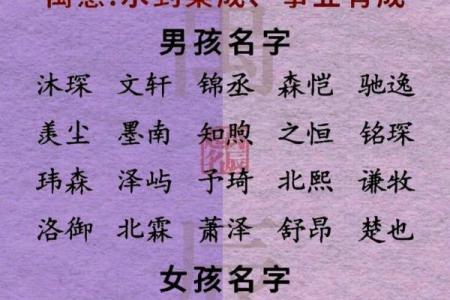 2019年3月17号申时出生的男孩应该起什么样的名字姓名