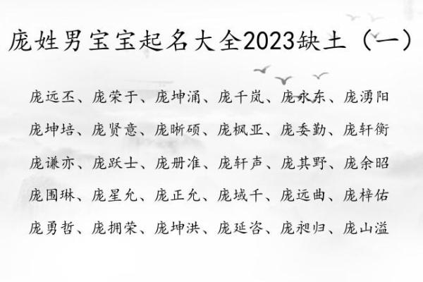 庞姓女孩名字大全-庞姓女孩起名字大全-庞姓名字大全姓名