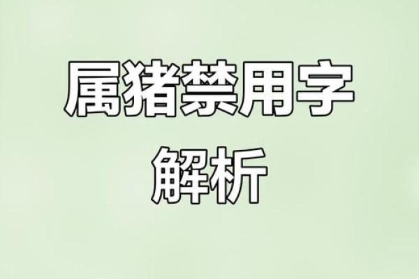 2019年出生属猪的男宝宝取名宜用字姓名