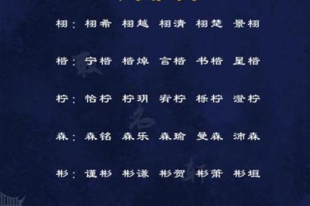 2019年4月11号丑时出生的男孩起名方法姓名