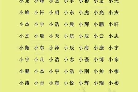 如何给凌晨5点出生的属鸡男孩取名字最合适姓名