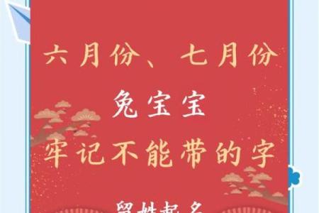 兔宝宝起名用字的禁忌-姓名学-姓名分析姓名