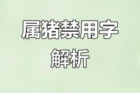 2019年出生属猪的男宝宝取名宜用字姓名