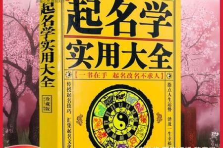 饭店起名大全-姓名学姓名