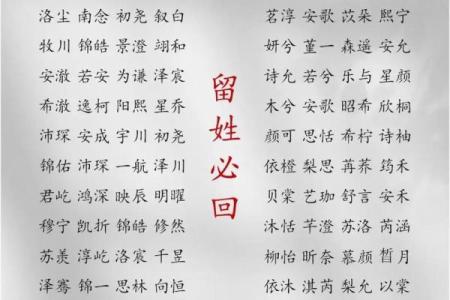 2019年6月17号子时出生的男孩起名时要注意什么姓名